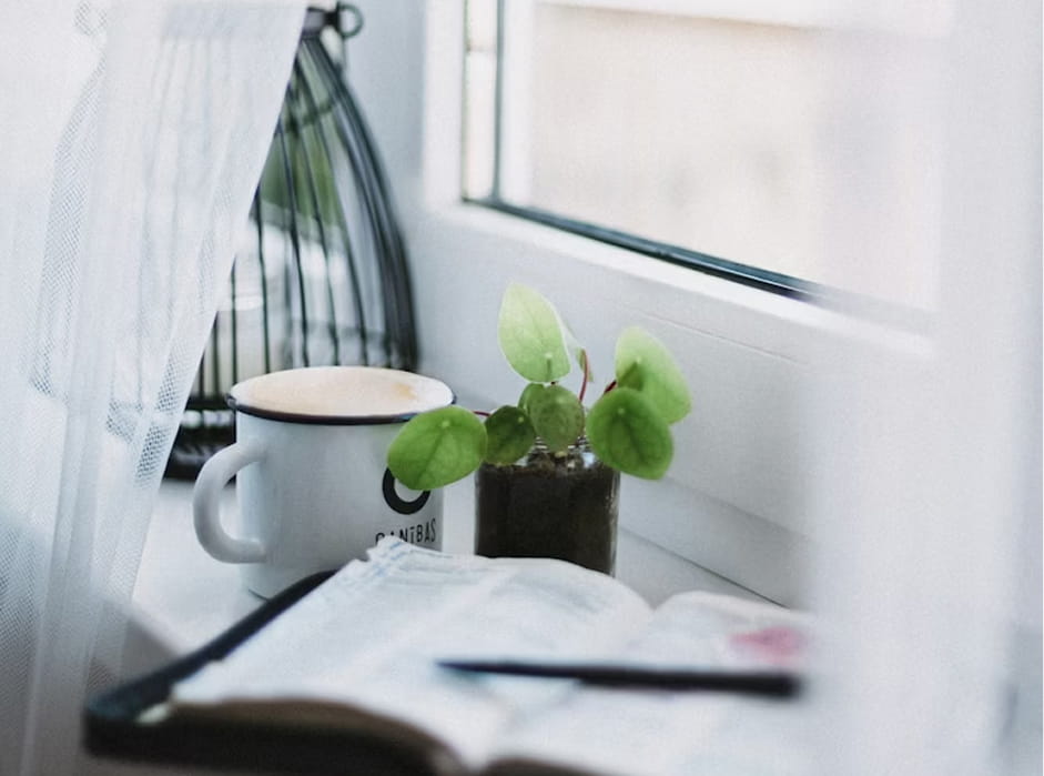 Biblia za rok - o plánoch čítania